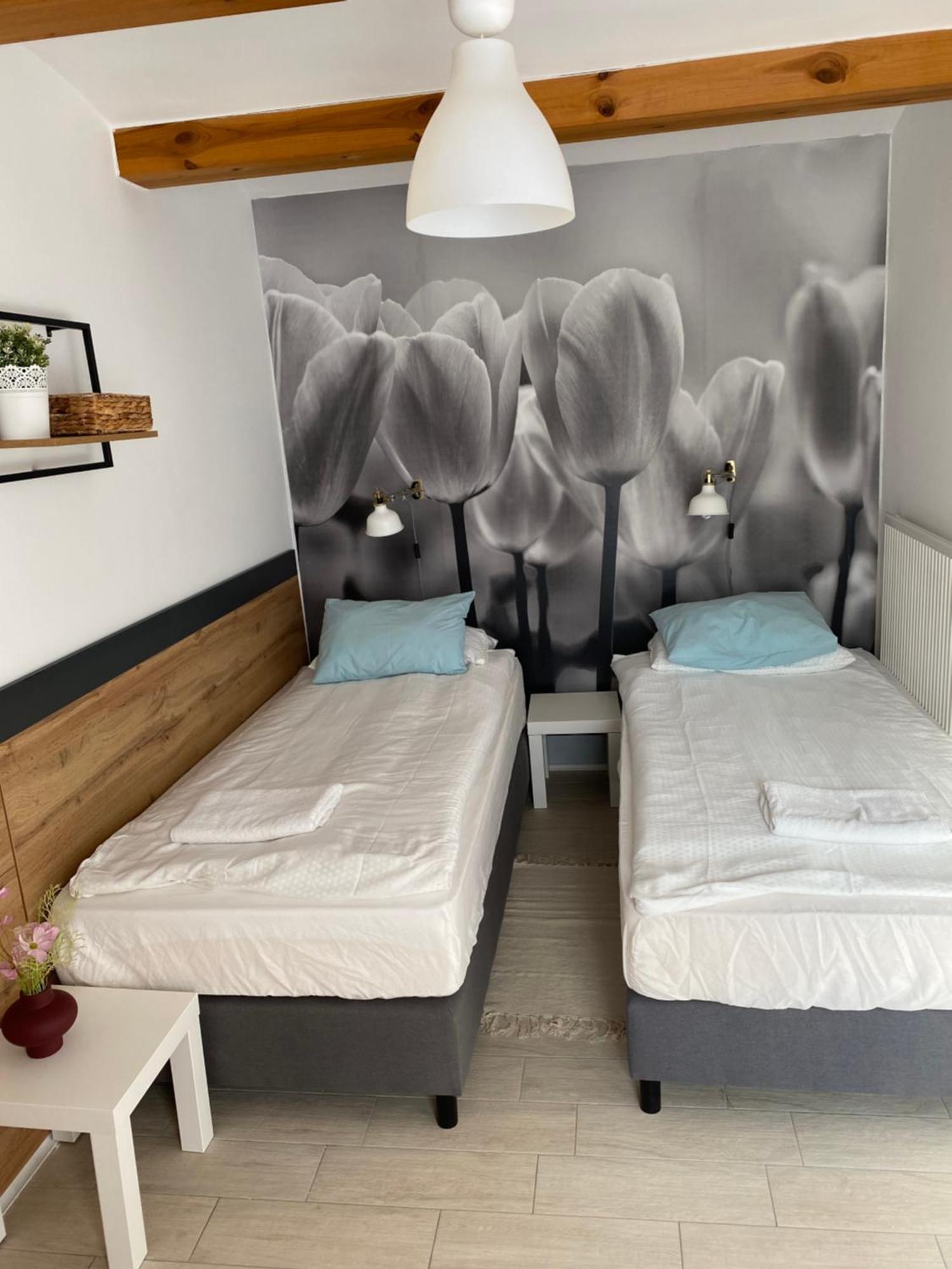 Levendula Apartmanhaz Бадачоньтомай Экстерьер фото